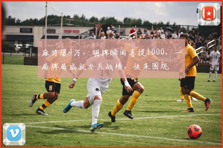 麻将爆4万，胡牌瞬间喜提1000，一局牌局成就非凡战绩，快来围观