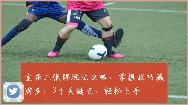 金花三张牌玩法攻略，掌握技巧赢牌多，3个关键点，轻松上手